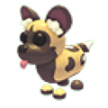African Wild Dog